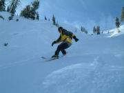 28_Mason shred'n.jpg